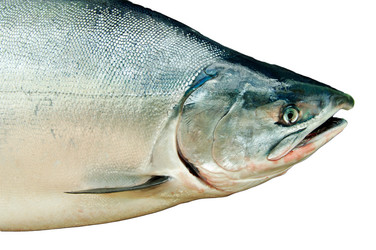 Similar image 697325