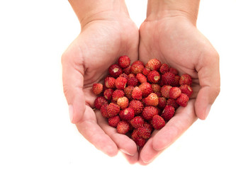 Similar image 697368