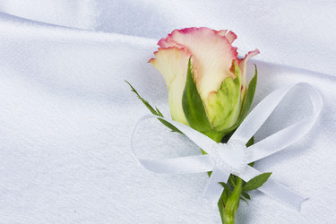 Similar image 697415