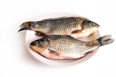 Similar image 697423