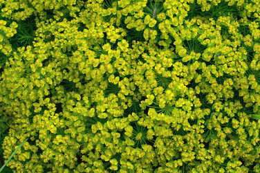 Similar image 697447