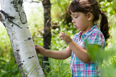 Similar image 697474