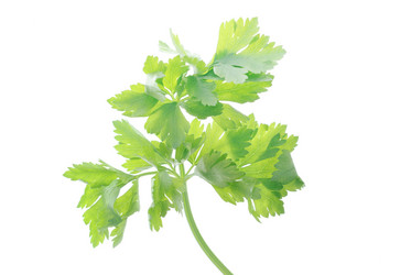 Similar image 697502