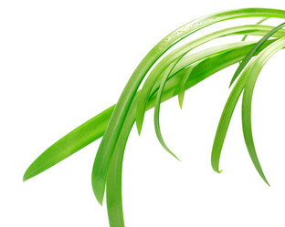 Similar image 697507