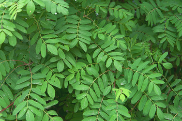 Similar image 697509