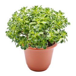 Similar image 697510