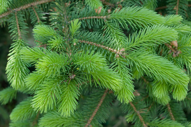 Similar image 697513