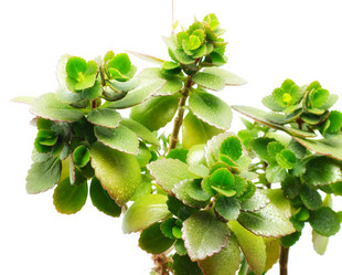 Similar image 697515