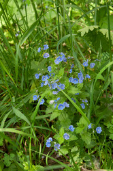 Similar image 697517