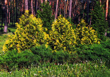 Similar image 697527