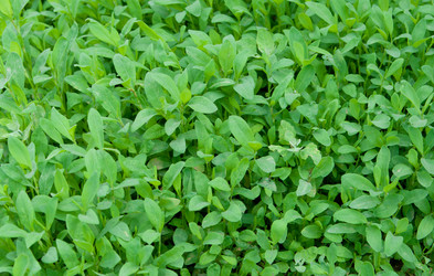 Similar image 697530