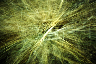 Similar image 697533