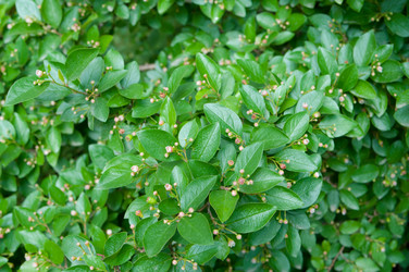 Similar image 697548