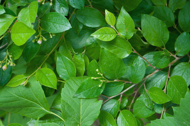 Similar image 697549