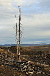 Similar image 697558