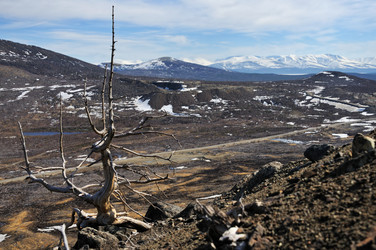 Similar image 697559