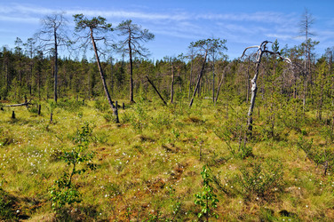 Similar image 697564