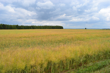 Similar image 697573