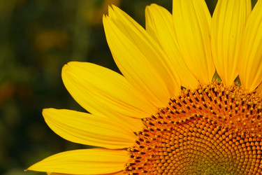 Similar image 697576