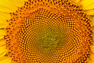 Similar image 697577