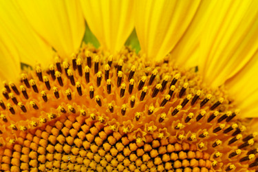 Similar image 697578