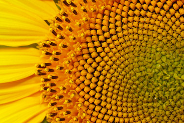 Similar image 697579