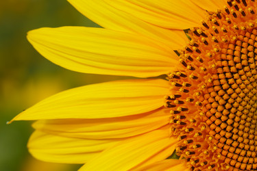 Similar image 697580