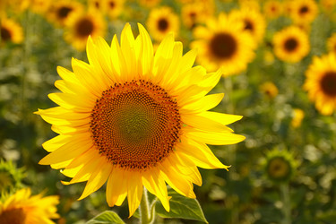 Similar image 697581