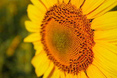 Similar image 697583