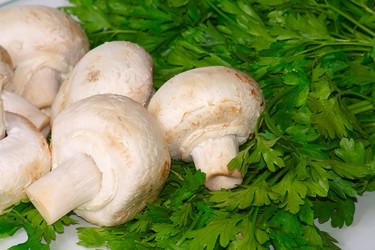 Similar image 697600