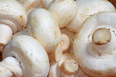 Similar image 697608