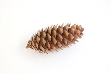 Similar image 697625