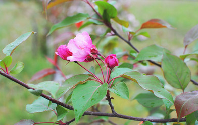 Similar image 697637