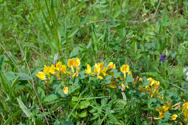 Similar image 697658