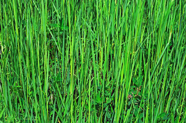 Similar image 697669