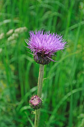 Similar image 697676