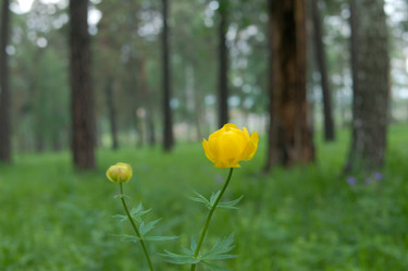 Similar image 697681