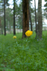 Similar image 697683