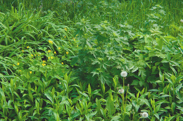 Similar image 697684