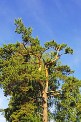 Similar image 697687