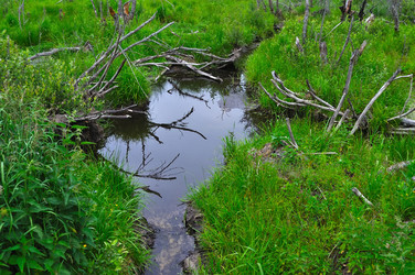 Similar image 697690