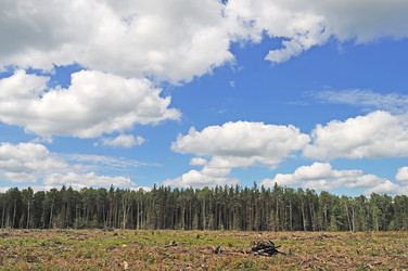 Similar image 697692