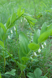 Similar image 697699