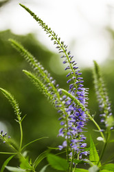 Similar image 697704