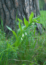 Similar image 697710