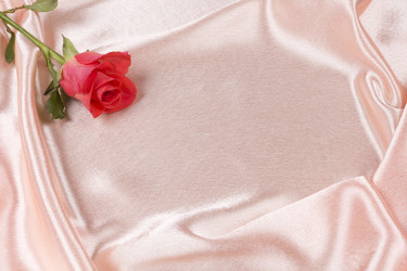 Similar image 697733