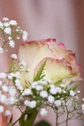 Similar image 697738