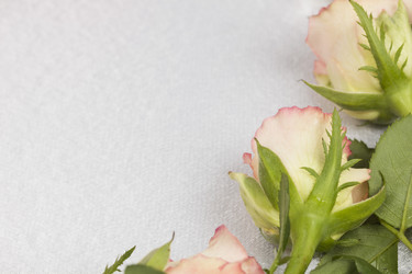 Similar image 697744