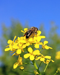 Similar image 697764