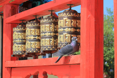 Similar image 697767